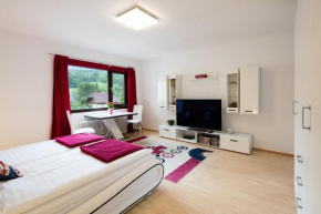 Отель W & S Executive Apartments - Obertraun  Обертраун